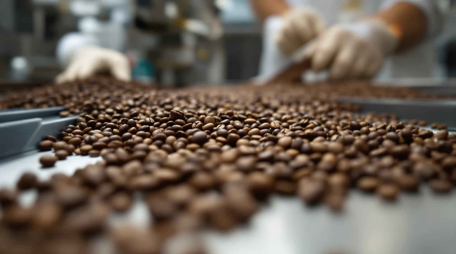 Arabica Coffee: Lager knapp, Wetter riskant, Shorts unter Druck